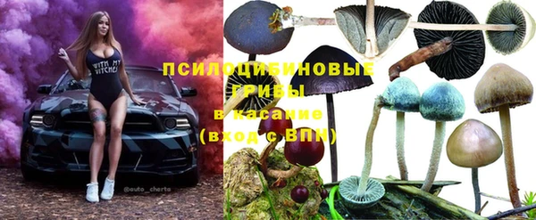 spice Белокуриха