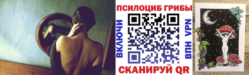 Псилоцибиновые грибы Cubensis  shop как зайти  Верея 