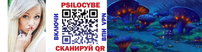 Галлюциногенные грибы Psilocybine cubensis Верея